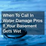 water damage pros