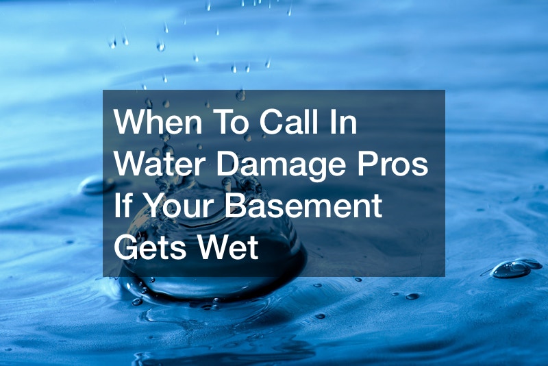 water damage pros