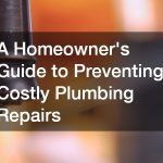 A Homeowner’s Guide to Preventing Costly Plumbing Repairs