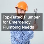 Top-Rated Plumber for Emergency Plumbing Needs