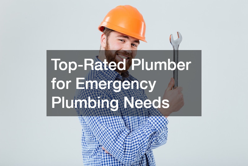 Top-Rated Plumber for Emergency Plumbing Needs