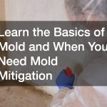 Learn the Basics of Mold and When You Need Mold Mitigation