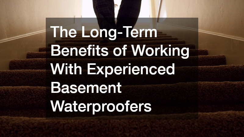 The Long-Term Benefits of Working With Experienced Basement Waterproofers