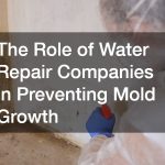 The Role of Water Repair Companies in Preventing Mold Growth